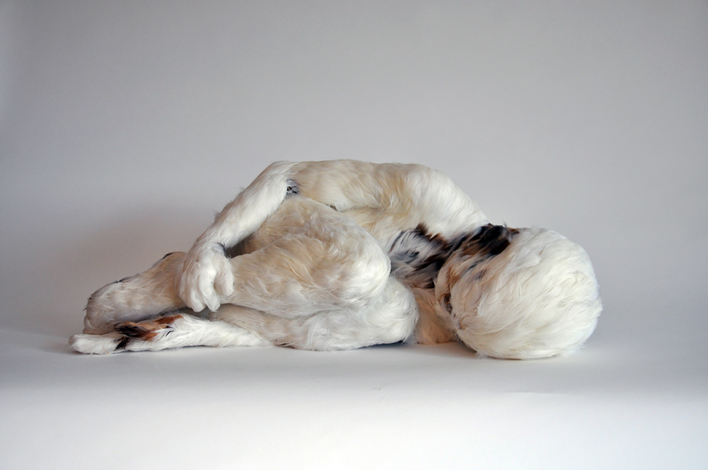Oeuvre Lucy Glendinning